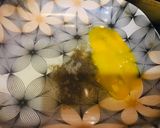 A picture of step 5 of Potatoes bread.
