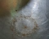 Foto langkah ke 1 dari resep Keripik pisang caramel.