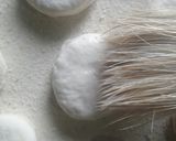 Foto del paso 4 de la receta: Bizcochitos de grasa con harina leudante👏