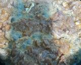 A picture of step 2 of Pan fried chaanp.