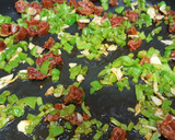 Foto del paso 2 de la receta: Paella (o arroz...) con pollo y chorizo