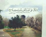 صورة لخطوة 8 من وصفة معكرونة