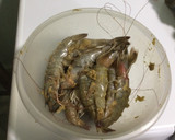 Foto del paso 3 de la receta: Camarones al Ajillo