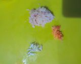 Foto langkah ke 1 dari resep Mpasi Bubur Ayam Santan.