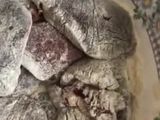 Індича печінка