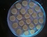 Foto del paso 6 de la receta: Pasta frola