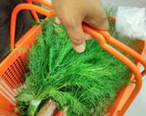 Foto langkah ke 1 dari resep Sayur daun dill/daun adas.