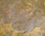 મિક્સ વેજિટેબલ સૂપ(Mix Veg soup recipe in gujarati) રેસીપી સ્ટેપ1ફોટો