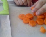 Foto del paso 2 de la receta: Fondo Claro (Ave)