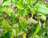 Healthy Spinach Cutlets recipe step 3 photo