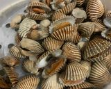 Foto langkah ke 3 dari resep Kerang Dara Rebus.