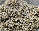 A picture of step 2 of Bajra Vegetable Khichadi #Pearl Millet Khichdi.