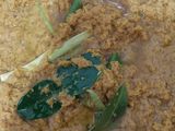 Ayam ungkep lengkuas