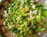 લીલી ડુંગળી નું શાક (Lili Dungli Shak Recipe In Gujarati) રેસીપી સ્ટેપ1ફોટો
