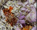 A picture of step 2 of Red cabbage Sandwich:.