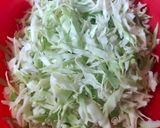 કોબી કાંદા નું શાક (Kobi Kanda Shak Recipe In Gujarati) રેસીપી સ્ટેપ1ફોટો