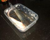 Foto langkah ke 1 dari resep Lele bakar teflon.