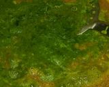 A picture of step 8 of Palak Paneer.