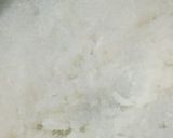 A picture of step 1 of Turnip Chicken.