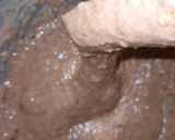 Foto del paso 2 de la receta: Buñuelos de acelga
