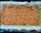 Foto del passaggio 4 della ricetta Timballo di Riso Piccante in Crosta Gluten Free