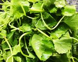 Hình bước làm 1 của món Canh Rau Má Nấu Tôm Khô