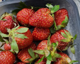 Foto langkah ke 1 dari resep Mix Fruit Juice.