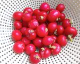 Hình bước làm 1 của món Dưa Món Củ Cải Đường