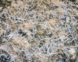 Foto del paso 5 de la receta: Tarta de acelga y ricota