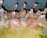 Foto langkah ke 1 dari resep Chicken Drumstick non 4P.