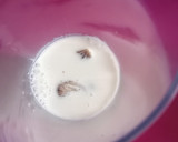 Foto del paso 2 de la receta: Polos de café sin azúcar(helado)