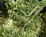 Foto langkah ke 1 dari resep Tumis Bunga Pepaya Daun singkong Teri.