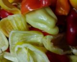Olajos paprika tèlire recept fázis 1 fotója