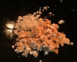 Foto langkah ke 4 dari resep Tofu Telur Asin.