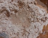 Foto del paso 2 de la receta: Pan de ajo Integral (sin levadura)