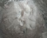 A picture of step 2 of Navratan korma.