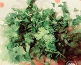 Foto del paso 2 de la receta: Pebre 🥗💕🇨🇱