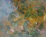 A picture of step 14 of Oha soup.