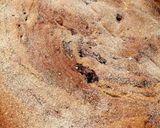 Foto del passaggio 4 della ricetta Torta variegata alle more