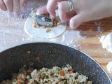 Gyoza ravioli cinesi con ripieno di pollo e zucchine