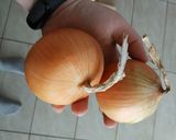 Hagyma leves recept fázis 2 fotója