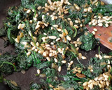 Foto del paso 1 de la receta: Tarta salada de espinacas
