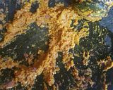 Foto langkah ke 2 dari resep Sayur ayam lombok ijo.