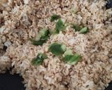 Foto langkah ke 3 dari resep Nasi Goreng Kencur Sederhana.
