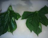 A picture of step 1 of Chaya soup.