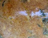 Foto langkah ke 2 dari resep Kepala ikan masak santan pedas.