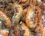 รูปขั้นตอนการทำที่ 4 ของ กุ้งคั่วเกลือ