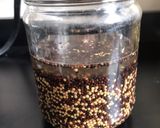 Foto del paso 2 de la receta: Mostaza fermentada