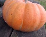 Foto del paso 1 de la receta: Dulce de calabaza