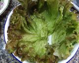 Foto del paso 1 de la receta: Ensalada otoñal con granada y brotes de lombarda